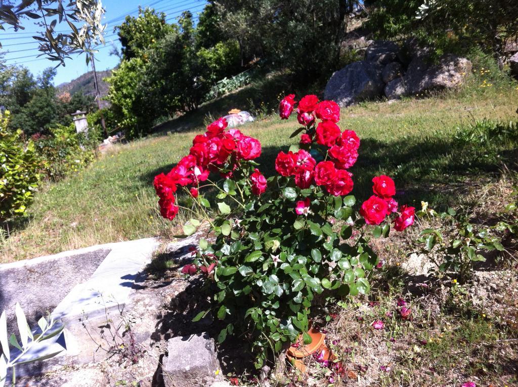 Al Vivenda Romantica Geres Exteriör bild